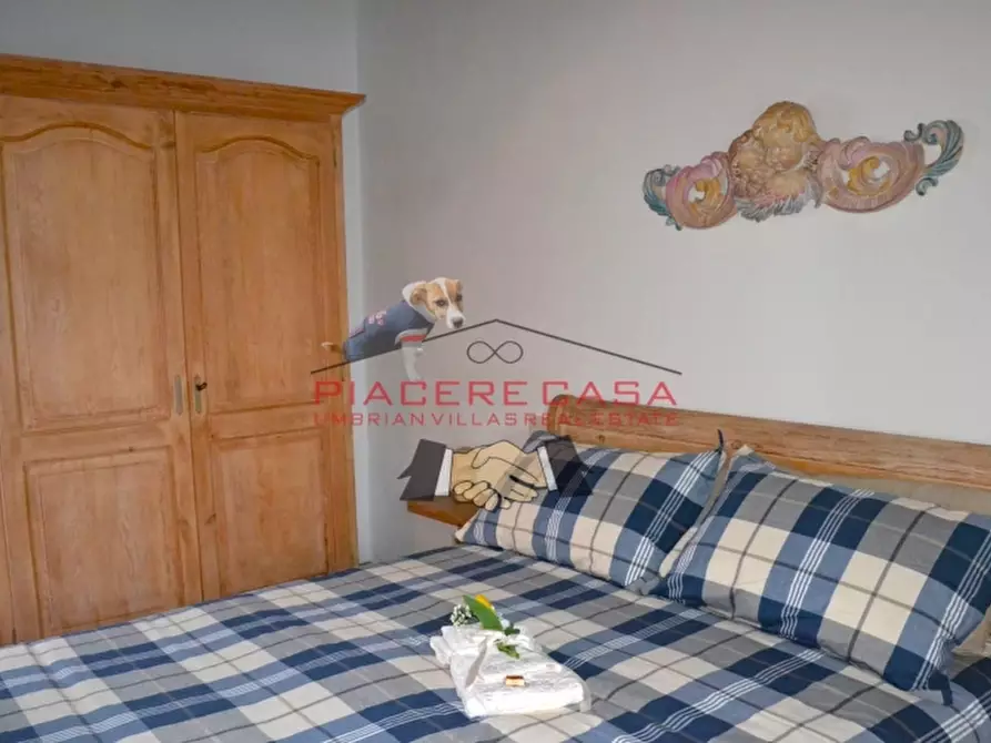 Immagine 30 di Rustico / casale in vendita  in Orvieto a Orvieto