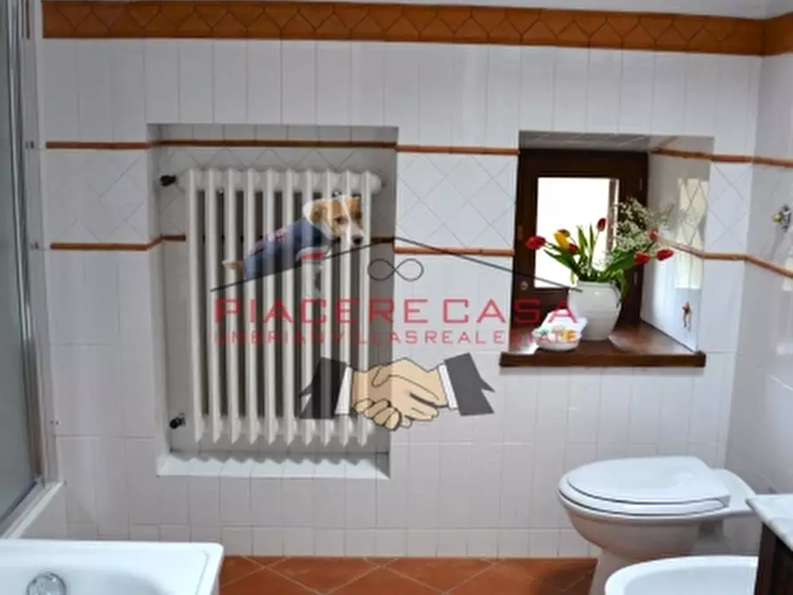 Immagine 33 di Rustico / casale in vendita  in Orvieto a Orvieto