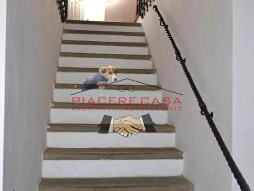 Immagine 34 di Rustico / casale in vendita  in Orvieto a Orvieto