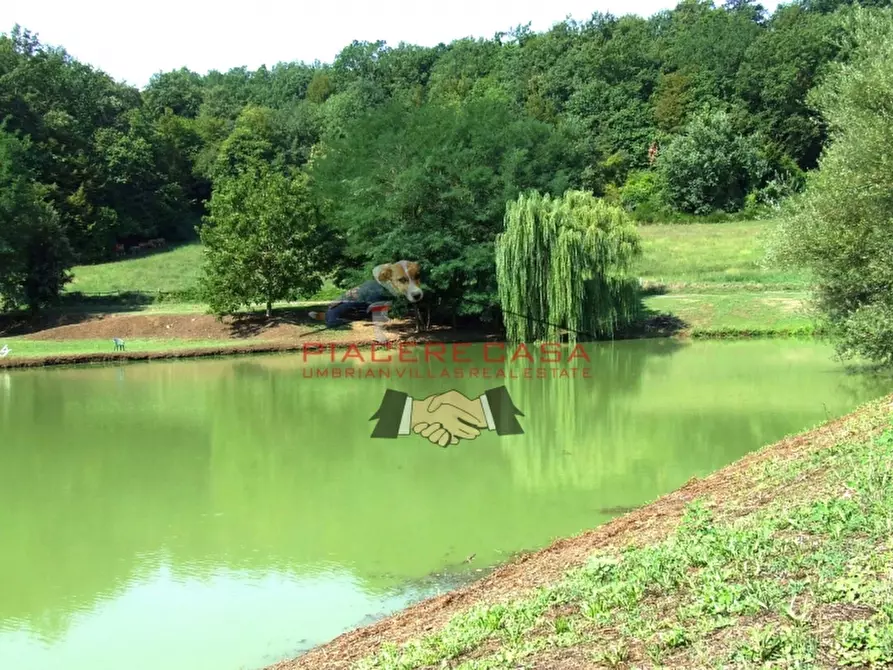 Immagine 40 di Rustico / casale in vendita  in Orvieto a Orvieto
