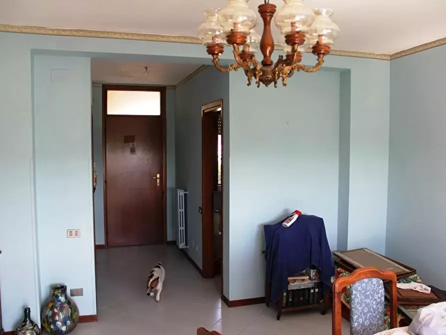 Immagine 2 di Terratetto in vendita  a Allerona