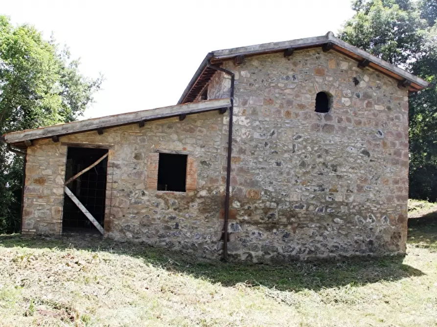 Immagine 1 di Rustico / casale in vendita  a Bagnoregio