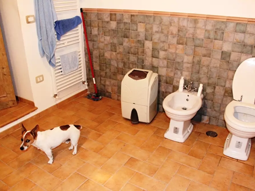 Immagine 5 di Casa indipendente in vendita  a Baschi