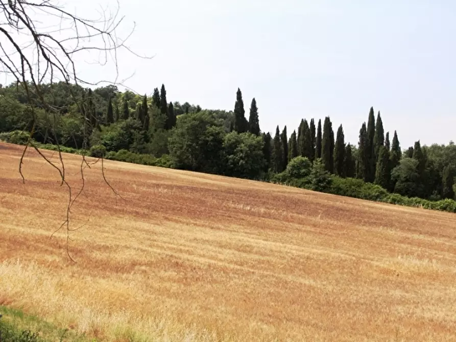 Immagine 2 di Agriturismo in vendita  in Viceno a Castel Viscardo