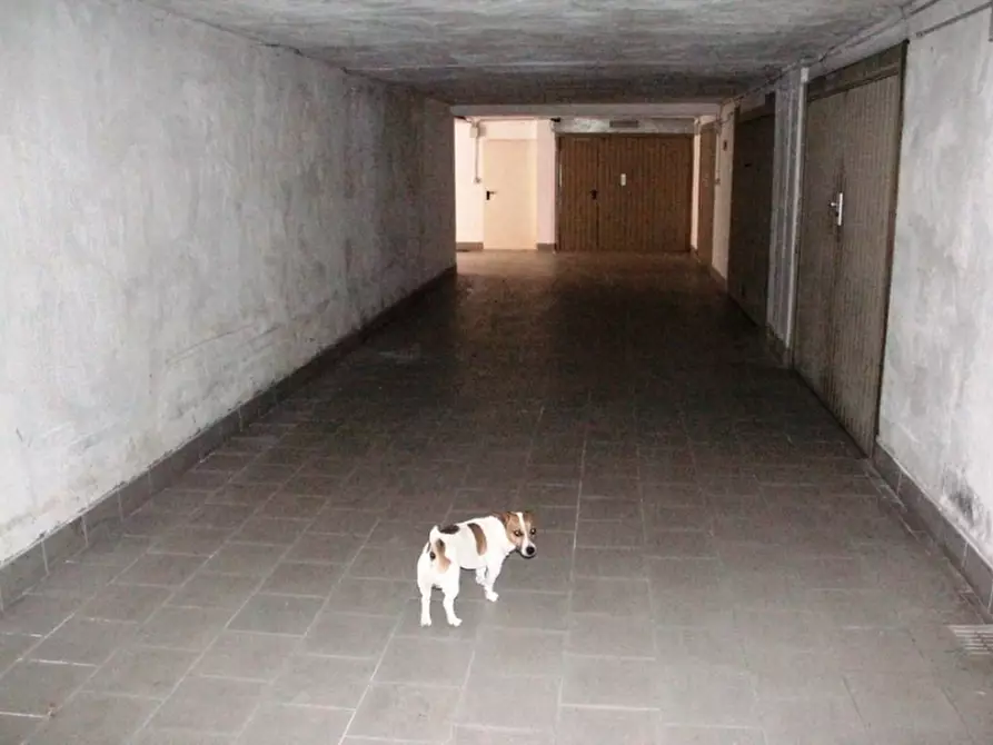 Immagine 2 di Garage in vendita  in ciconia a Orvieto