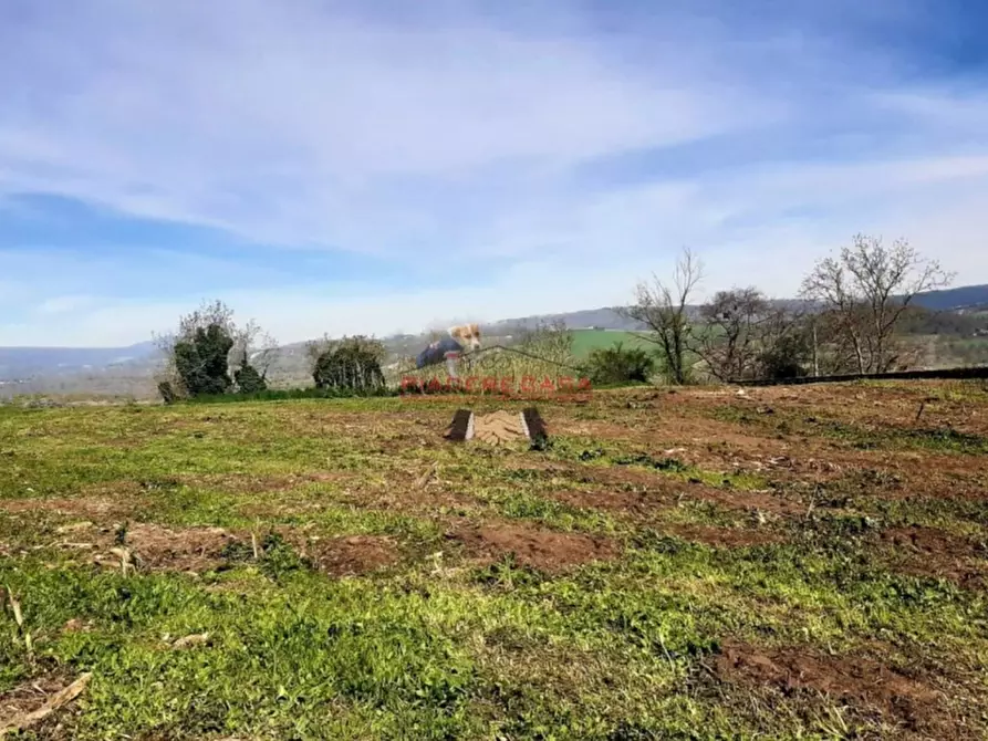 Immagine 2 di Rustico / casale in vendita  in Orvieto a Orvieto