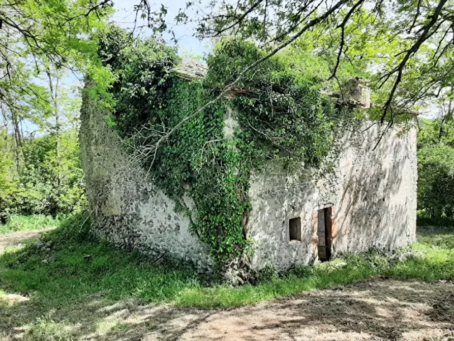 Immagine 2 di Rustico / casale in vendita  a Orvieto