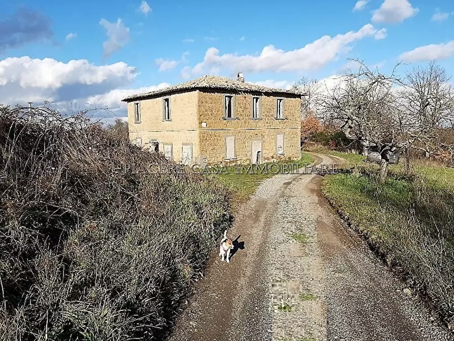 Immagine 2 di Rustico / casale in vendita  in Circondario di Orvieto a Orvieto