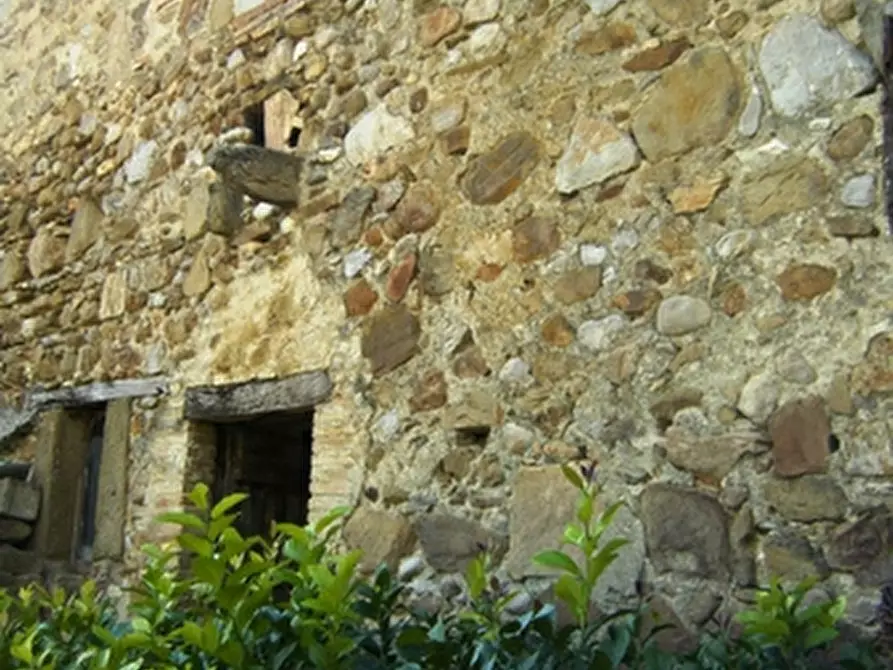 Immagine 2 di Rustico / casale in vendita  in - a Orvieto