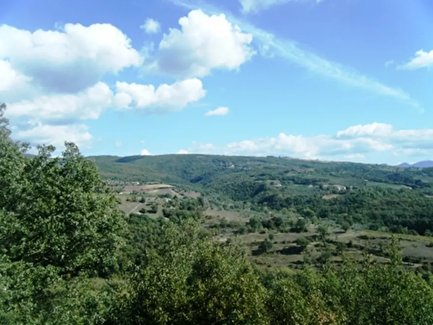 Immagine 3 di Rustico / casale in vendita  in - a Orvieto