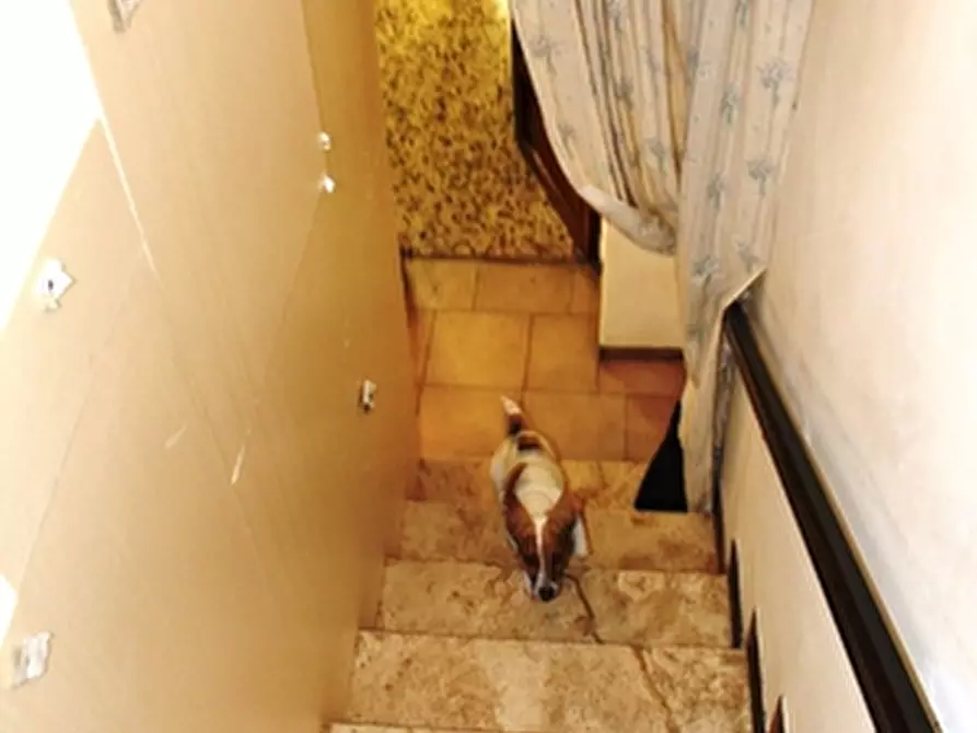 Immagine 5 di Casa semindipendente in vendita  a Castel Giorgio