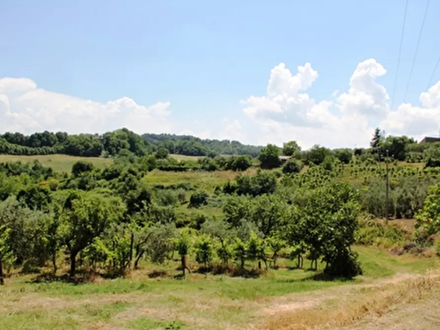 Immagine 2 di Terreno residenziale in vendita  a Castel Viscardo