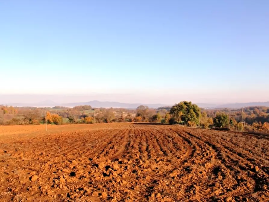 Immagine 2 di Rustico / casale in vendita  a Grotte Di Castro