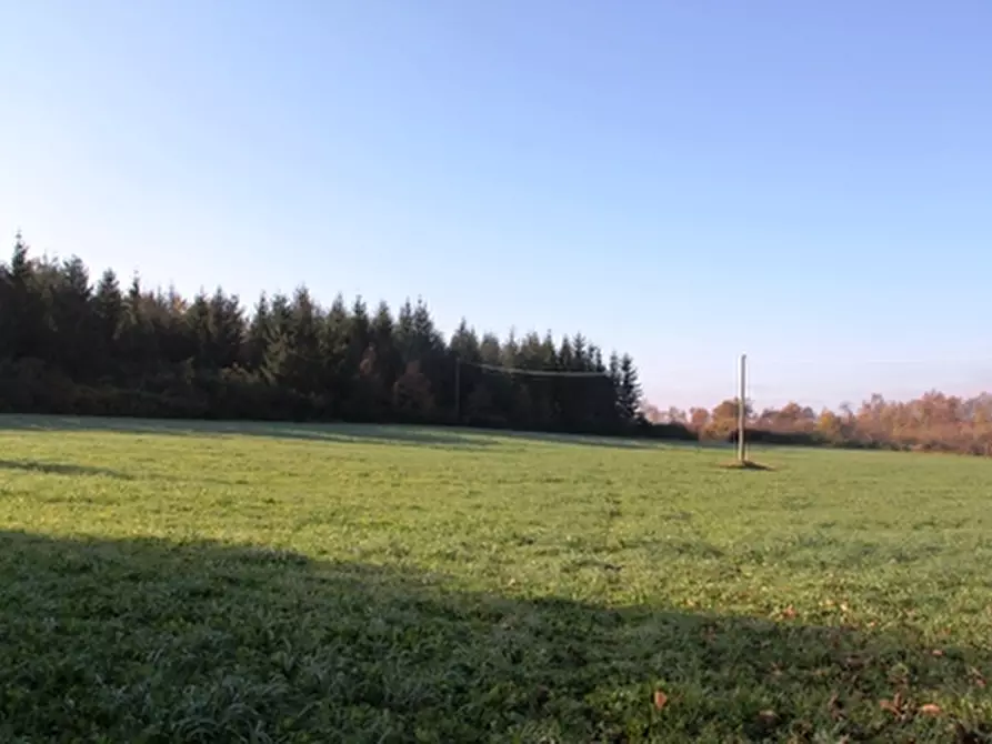 Immagine 3 di Rustico / casale in vendita  a Grotte Di Castro