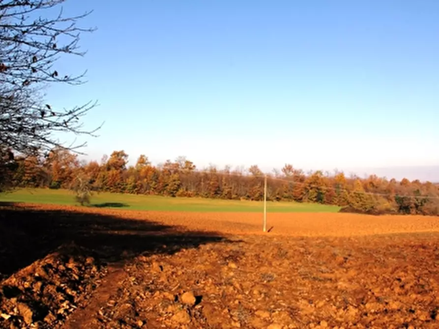 Immagine 4 di Rustico / casale in vendita  a Grotte Di Castro