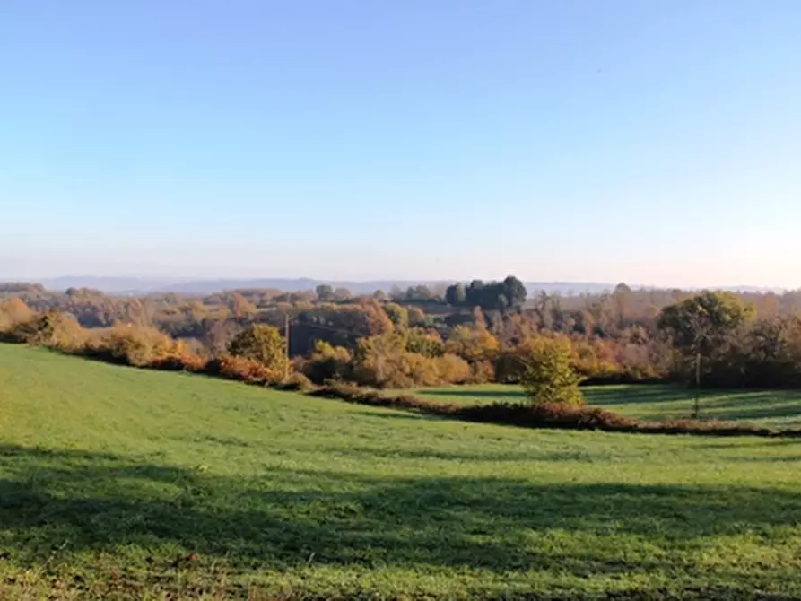 Immagine 5 di Rustico / casale in vendita  a Grotte Di Castro