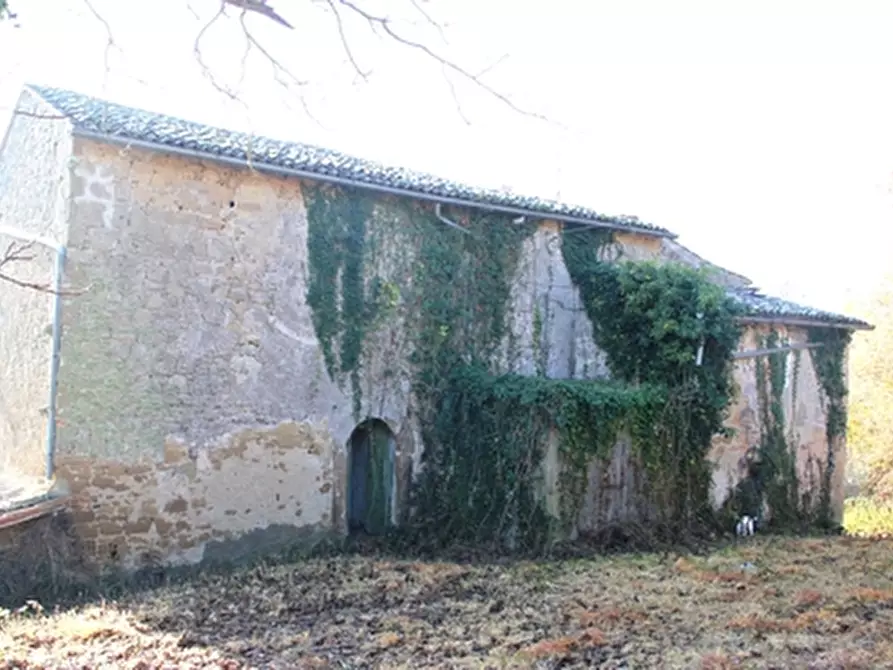 Immagine 6 di Rustico / casale in vendita  a Grotte Di Castro