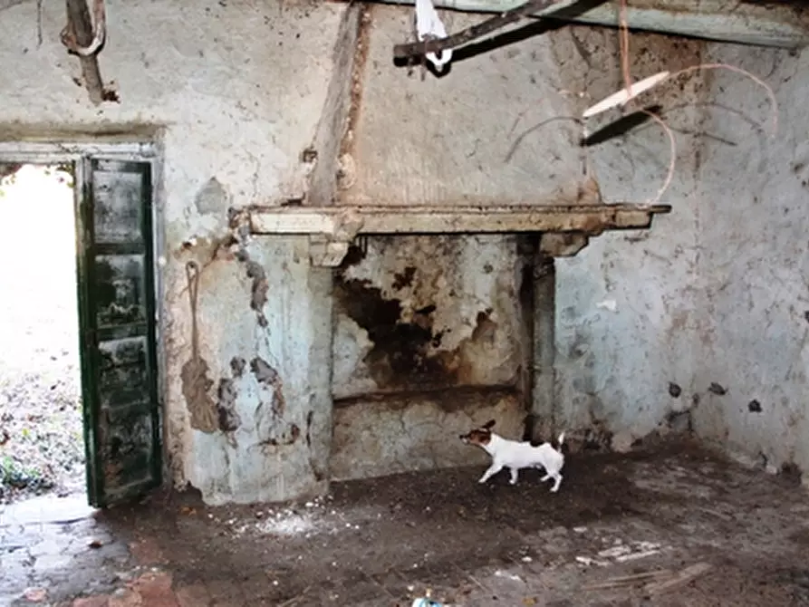 Immagine 7 di Rustico / casale in vendita  a Grotte Di Castro