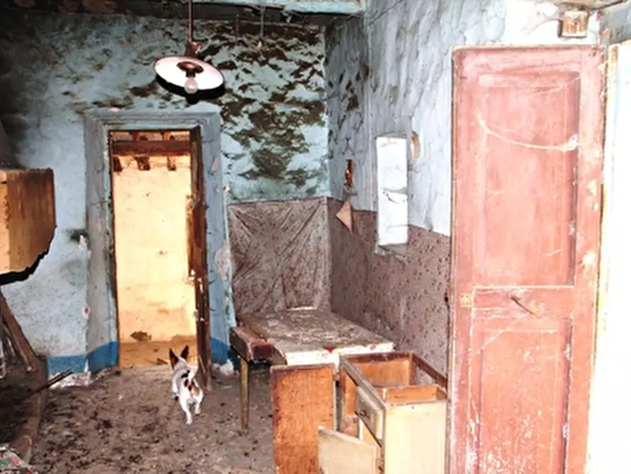 Immagine 9 di Rustico / casale in vendita  a Grotte Di Castro