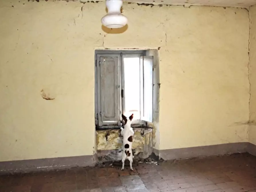 Immagine 11 di Rustico / casale in vendita  a Grotte Di Castro