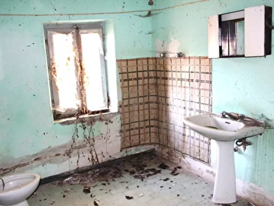 Immagine 14 di Rustico / casale in vendita  a Grotte Di Castro