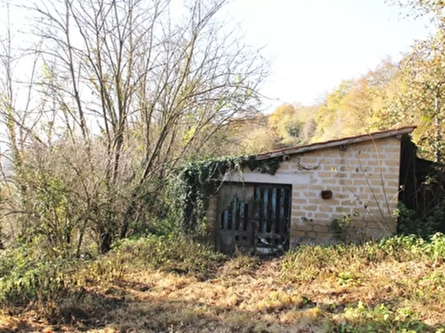 Immagine 16 di Rustico / casale in vendita  a Grotte Di Castro