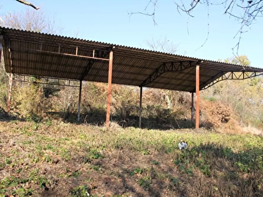 Immagine 17 di Rustico / casale in vendita  a Grotte Di Castro