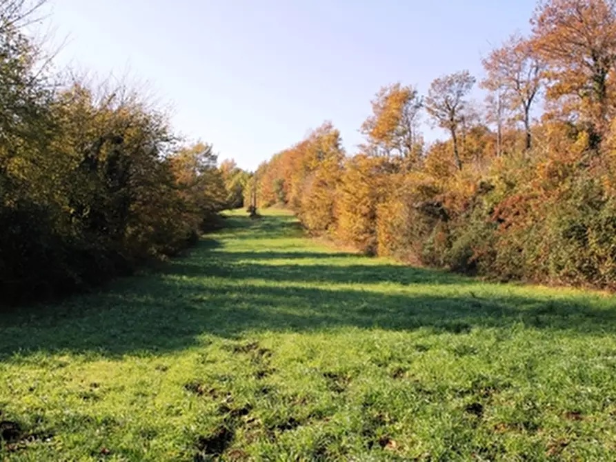 Immagine 19 di Rustico / casale in vendita  a Grotte Di Castro