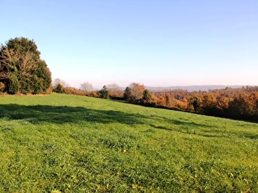 Immagine 20 di Rustico / casale in vendita  a Grotte Di Castro