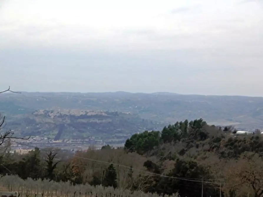 Immagine 4 di Rustico / casale in vendita  a Orvieto