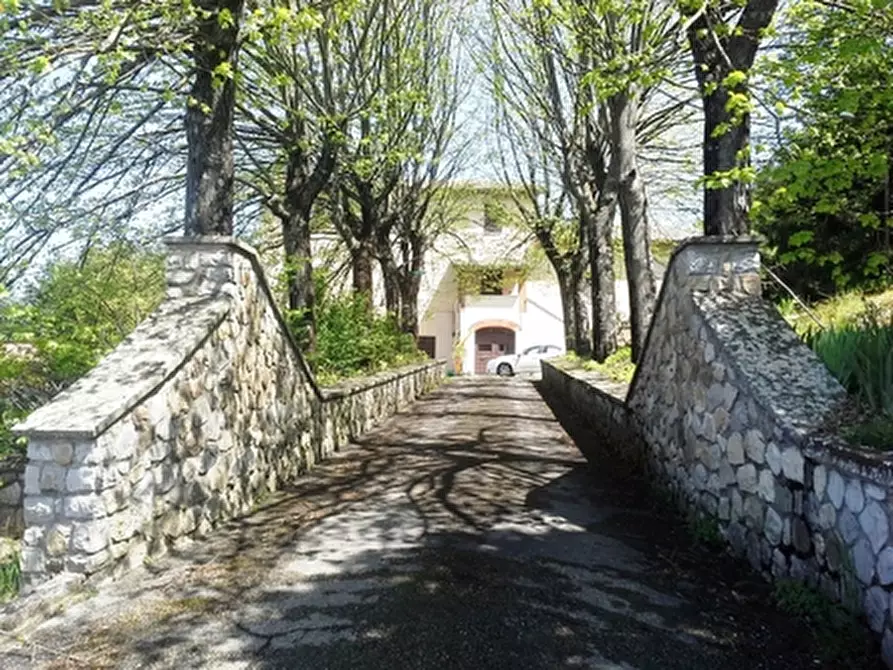 Immagine 20 di Rustico / casale in vendita  a Orvieto