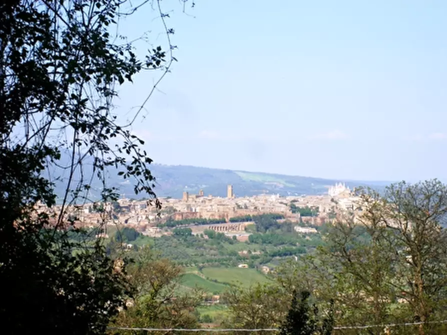 Immagine 1 di Rustico / casale in vendita  a Orvieto