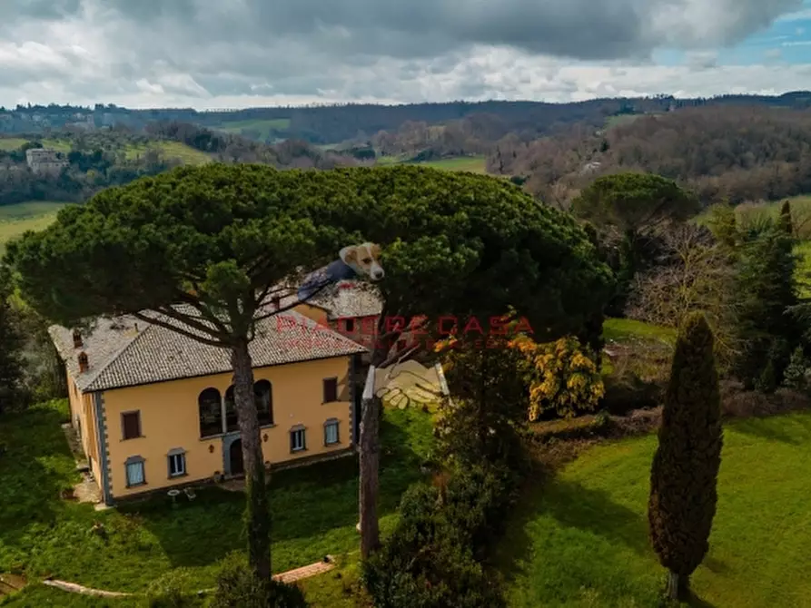 Immagine 1 di Villa in vendita  in porano a Porano