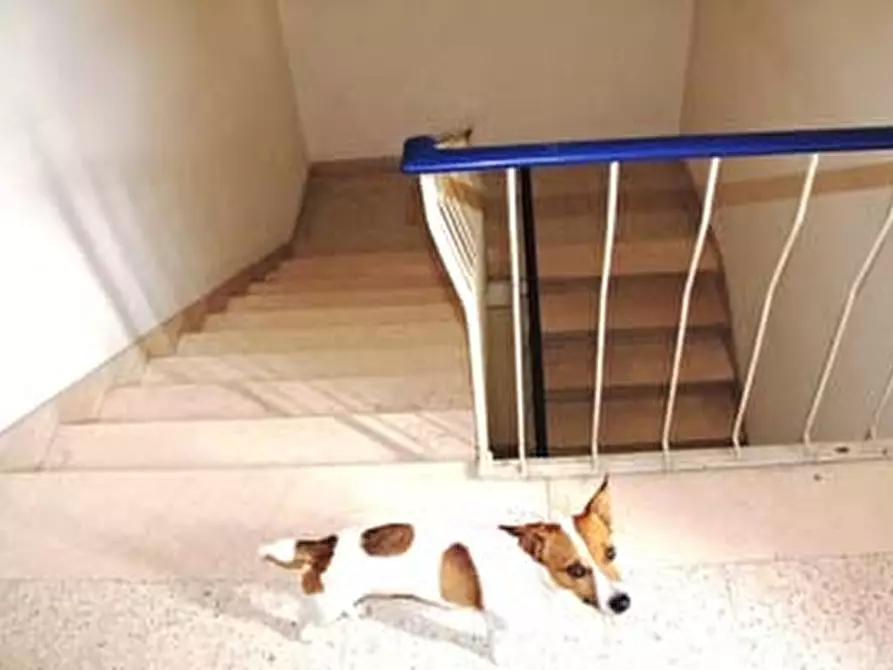 Immagine 7 di Casa indipendente in vendita  in Piazza Ascanio vitozzi a Baschi