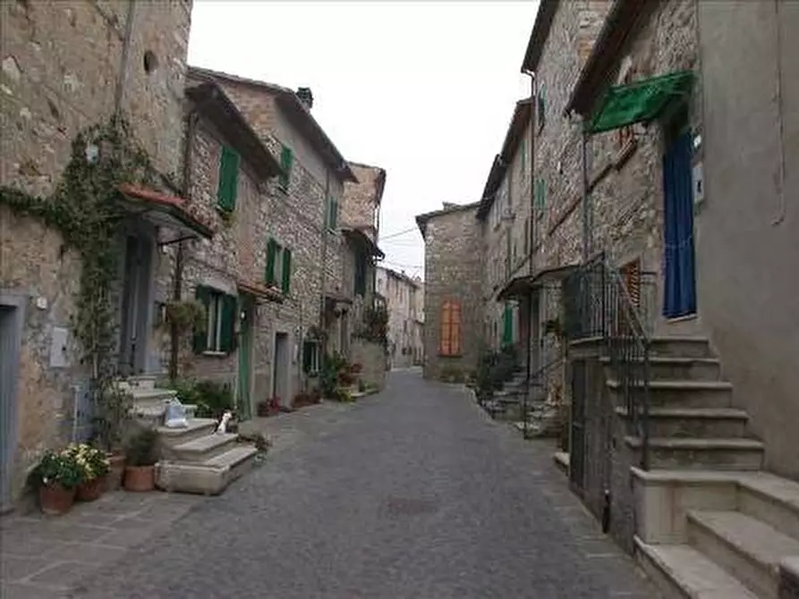 Immagine 8 di Terratetto in vendita  a Fabro