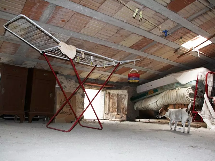 Immagine 7 di Terratetto in vendita  a Ficulle