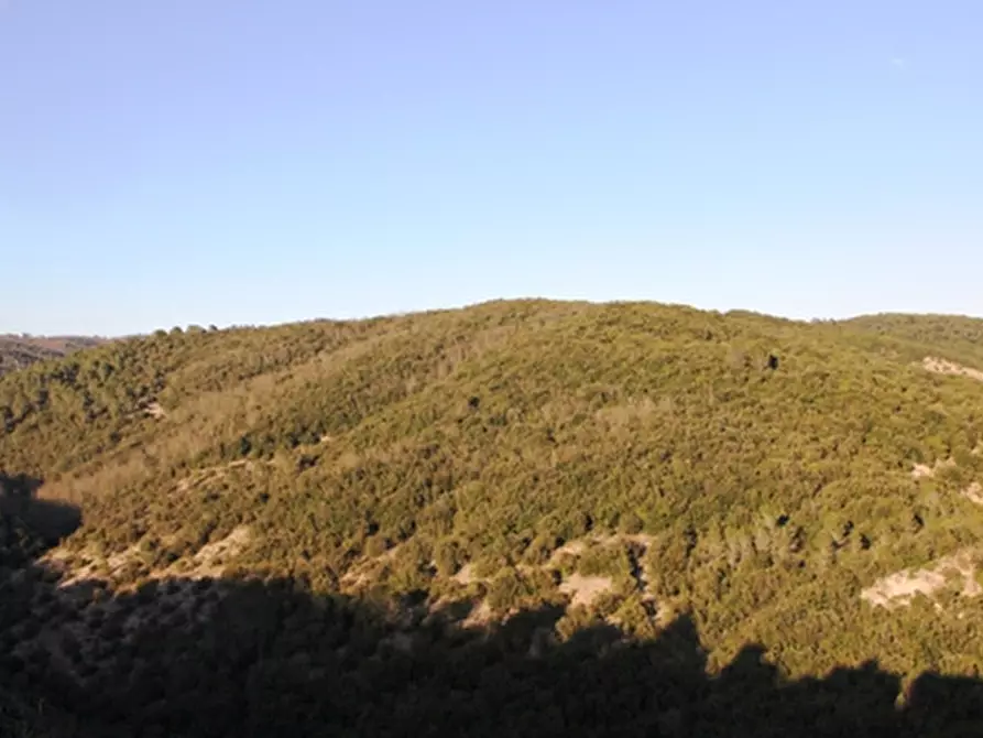 Immagine 3 di Terratetto in vendita  a Orvieto
