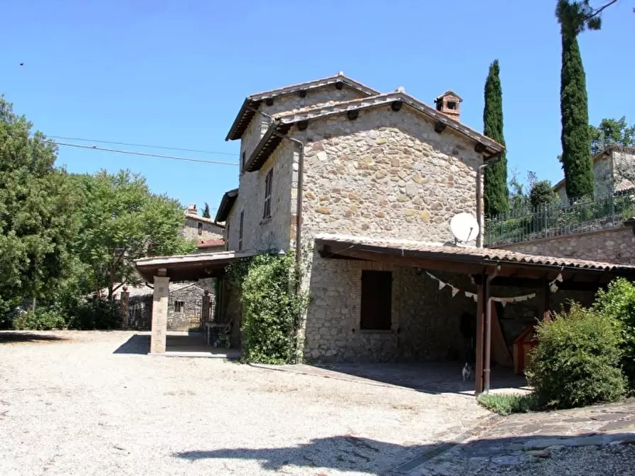 Immagine 2 di Rustico / casale in vendita  in Morrano a Orvieto