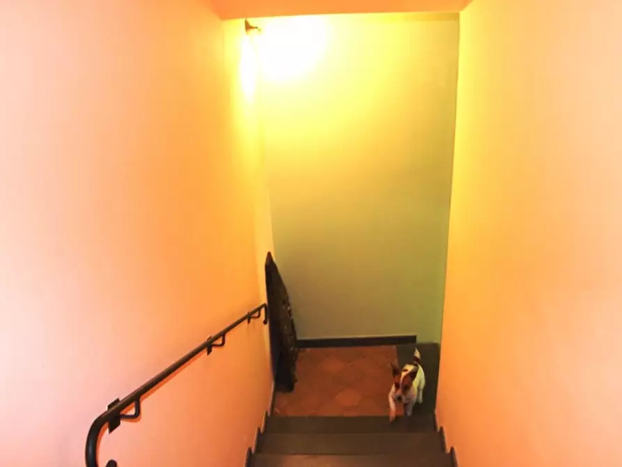 Immagine 11 di Rustico / casale in vendita  in Morrano a Orvieto