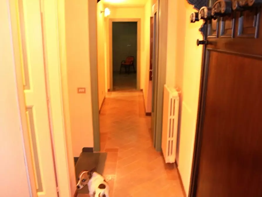 Immagine 13 di Rustico / casale in vendita  in Morrano a Orvieto