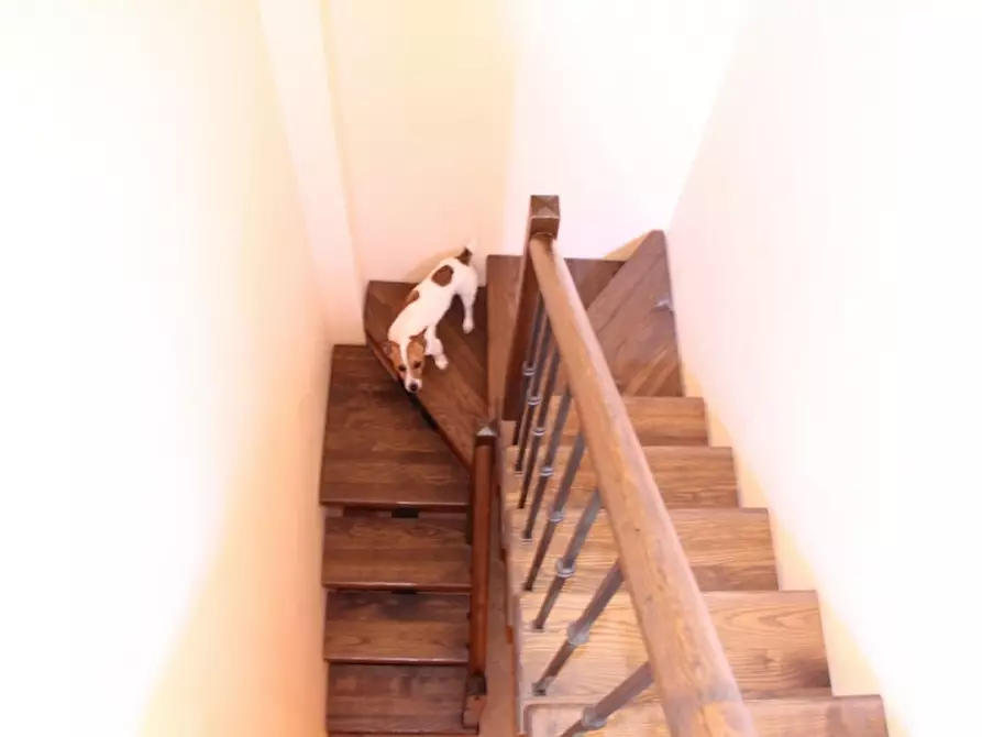 Immagine 17 di Rustico / casale in vendita  in Morrano a Orvieto