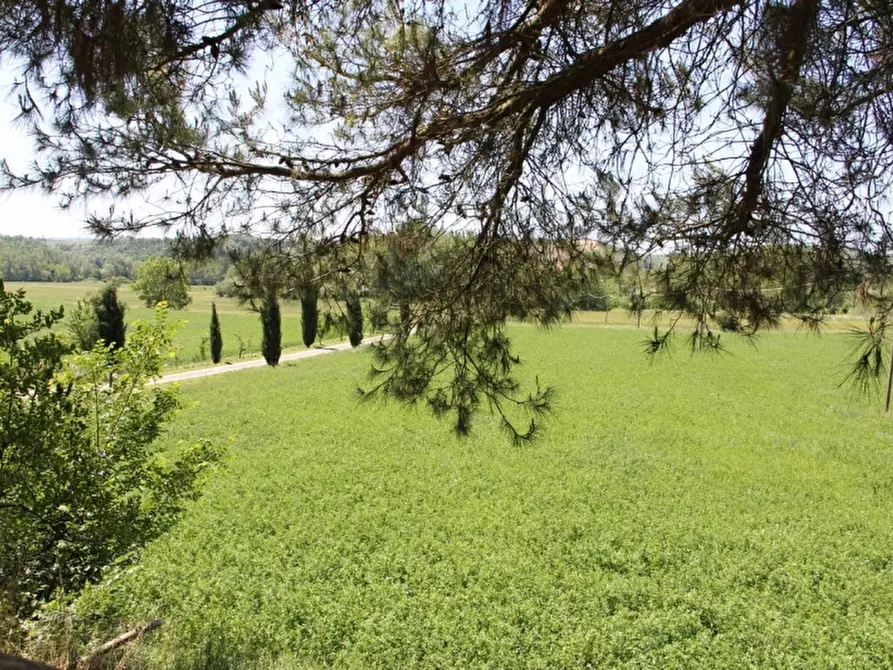 Immagine 20 di Rustico / casale in vendita  in Morrano a Orvieto
