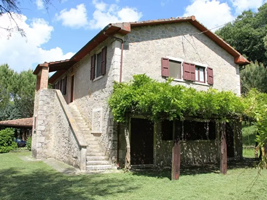 Immagine 3 di Rustico / casale in vendita  a Baschi