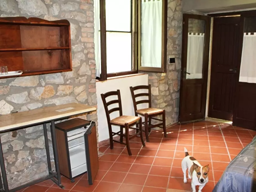 Immagine 13 di Rustico / casale in vendita  a Baschi