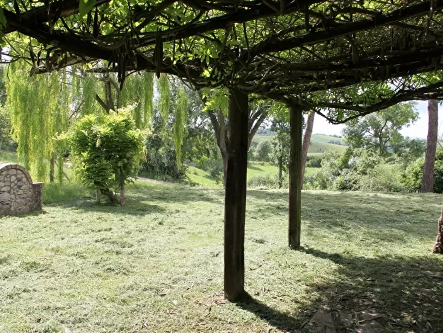 Immagine 14 di Rustico / casale in vendita  a Baschi