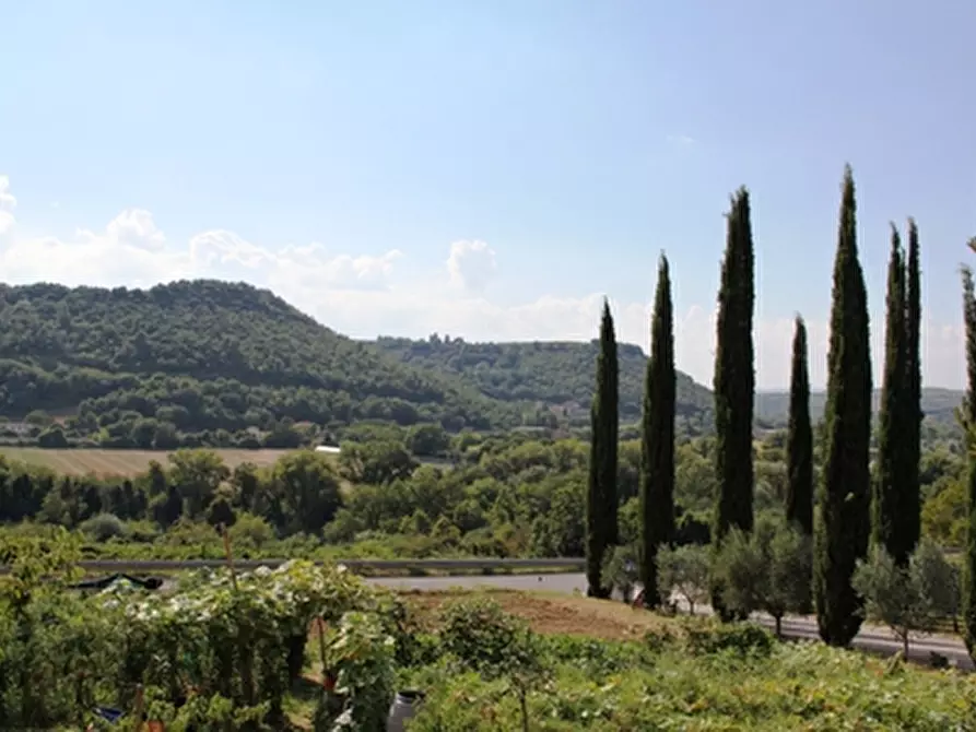 Immagine 18 di Casa vacanze in vendita  a Baschi