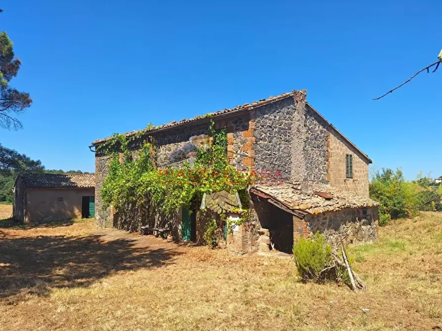 Immagine 1 di Rustico / casale in vendita  in Lubriano a Lubriano