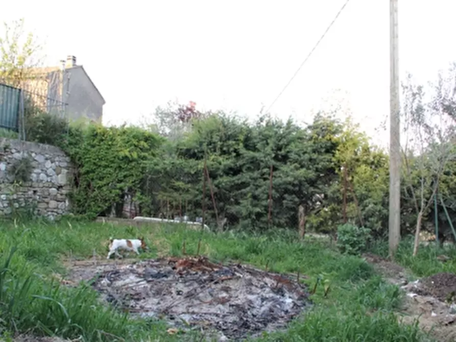 Immagine 3 di Appartamento in vendita  in Monterubiaglio a Castel Viscardo