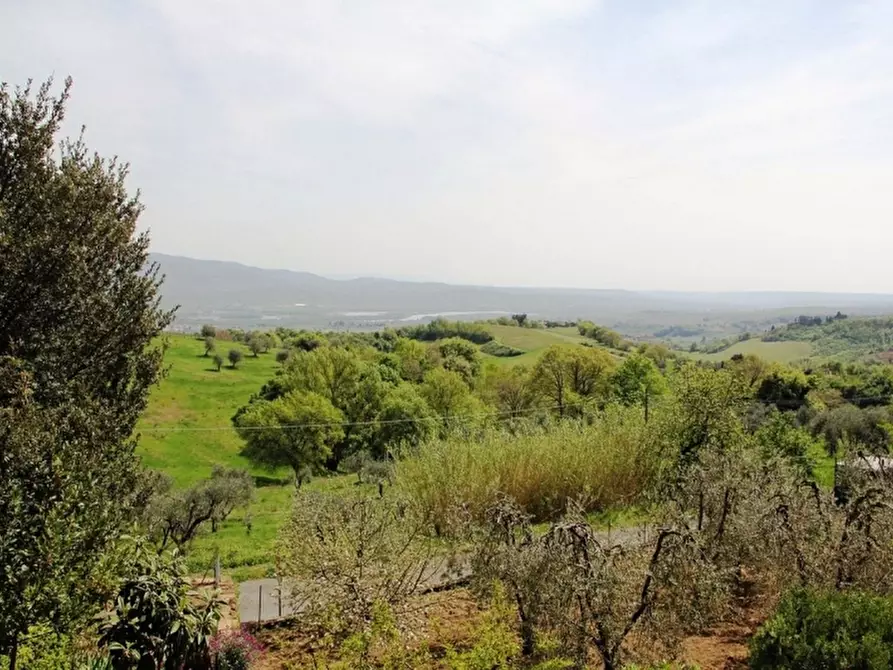 Immagine 3 di Casa indipendente in vendita  a Civitella D'agliano
