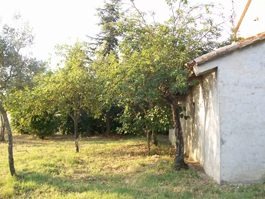 Immagine 4 di Rustico / casale in vendita  in - a Montecchio